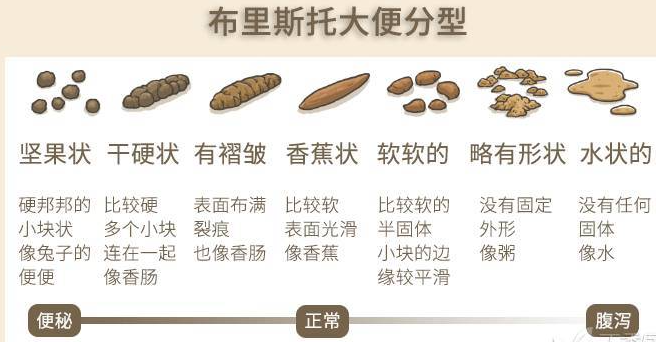 消化症状（4）：大便不成形